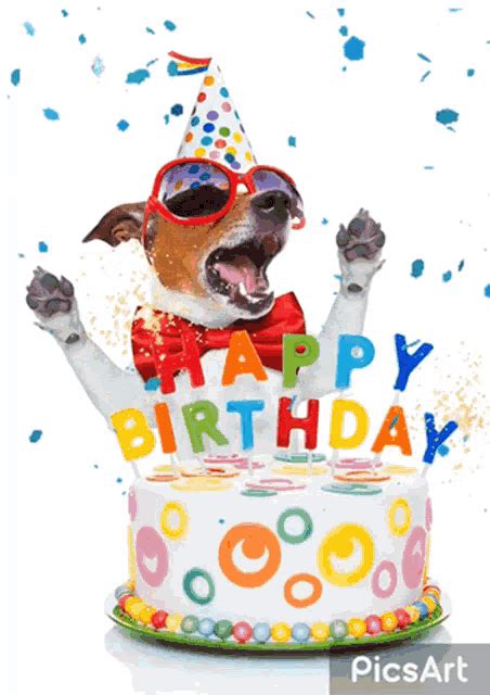 dog birthday gif|happy birthday with dogs gif.